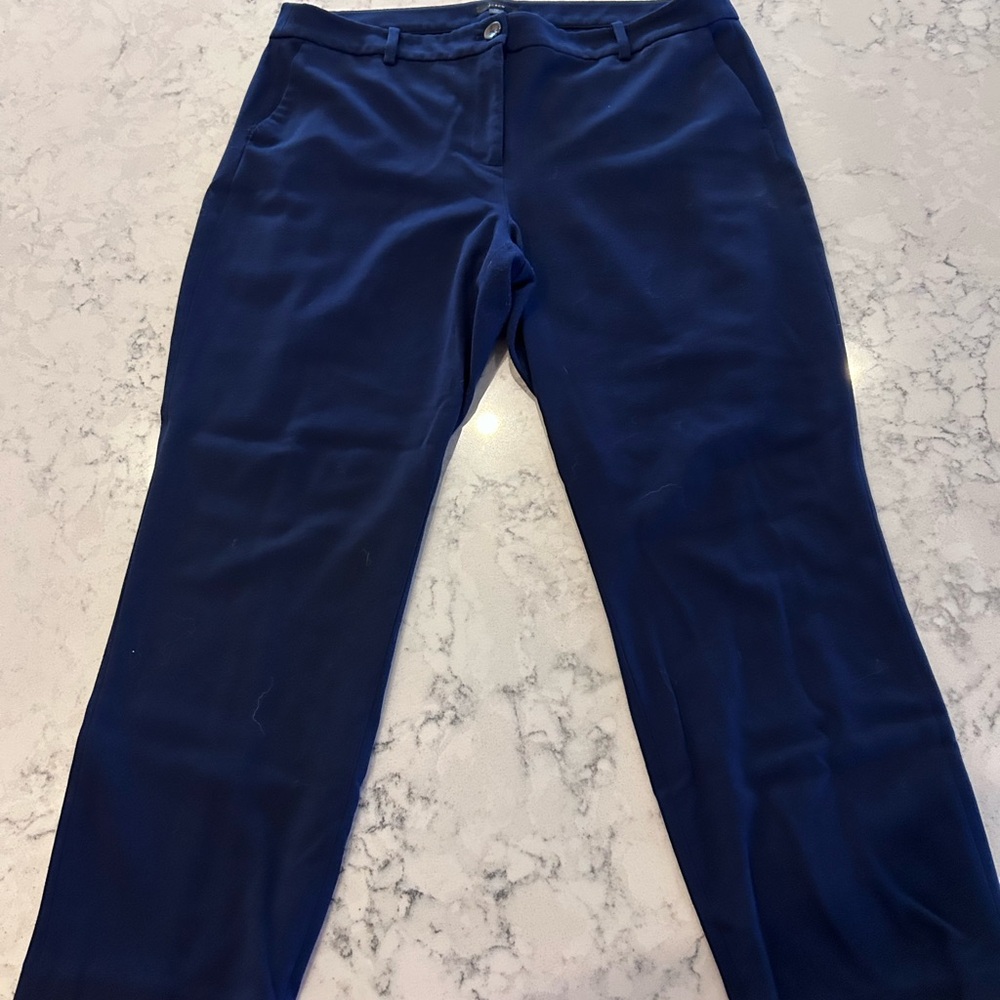 J. Crew Navy Blue Trousers